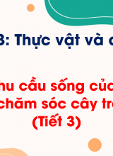 Chủ đề 3 - Bài 13 Nhu cầu sống của thực vật và chăm sóc cây trồng (Tiết 3)